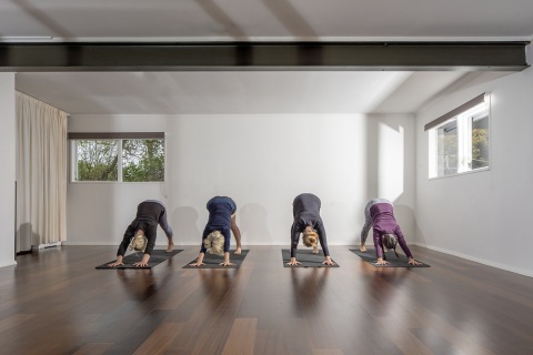 Copy-of-Copy-of-Studio-Downward-dog